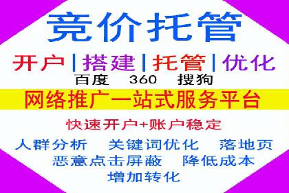 行业首例：SEM竞价优化案例的成效与启示